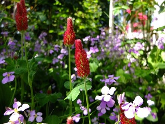 DSCF9707_R