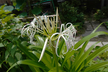 DSC07414_R