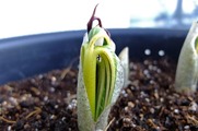 DSCF1466_R