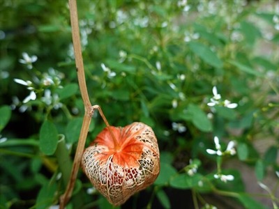 DSC01639_R