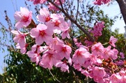DSCF1920_R