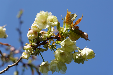 DSC06363_R