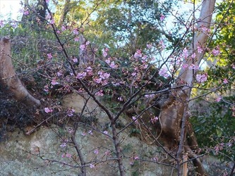 DSCF8481_R