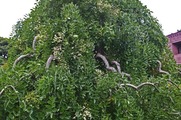 DSCF4744_R