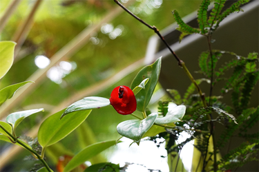 DSC00083_R