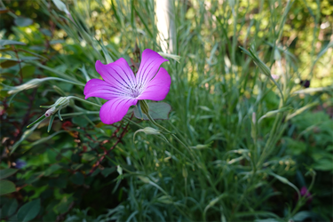 DSC06767_R
