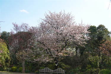 DSC06419_R
