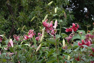 DSC03207_R