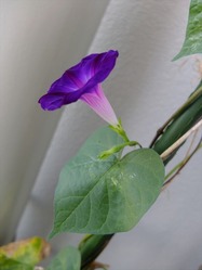 DSCF5998_R