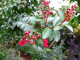 DSCF2798_R