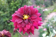 DSCF5004_R