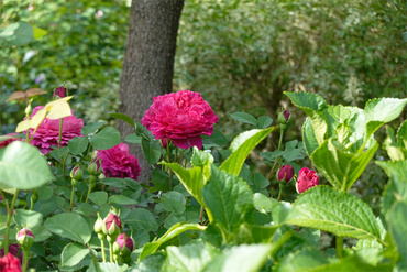 DSC07069_R