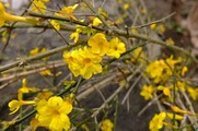 DSCF1227_R