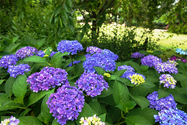 DSC08140_R