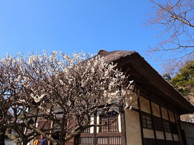 DSCF1018_R