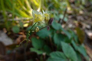 DSC06180_R