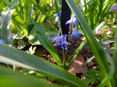 DSCF4918_R
