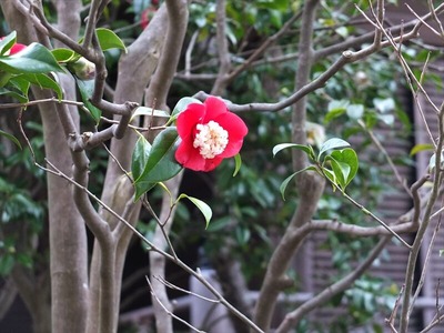 DSCF1224_R