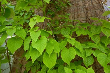 DSC05004_R
