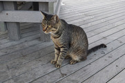 DSCF4173_R