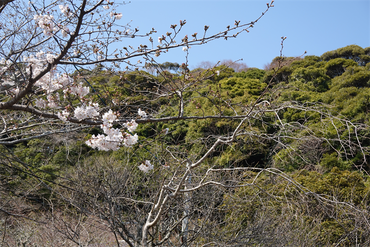 DSC06290_R