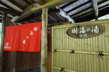 DSC09436_R