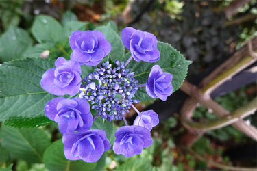 DSC08235_R