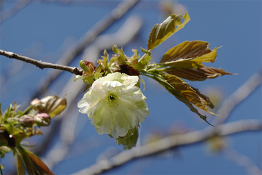 DSC06362_R