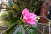 DSCF0563_R