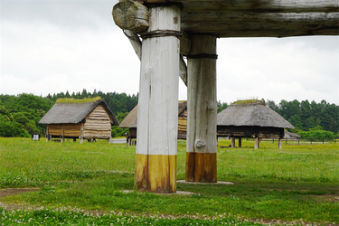 DSC02391_R