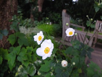 DSCF6088_R