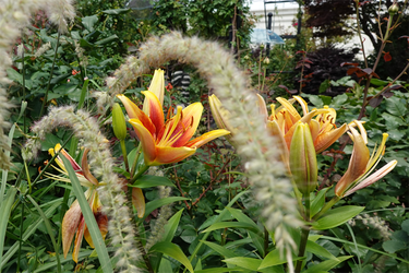 DSC08436_R