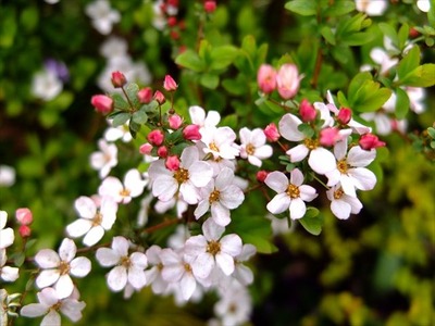 DSCF7495_R
