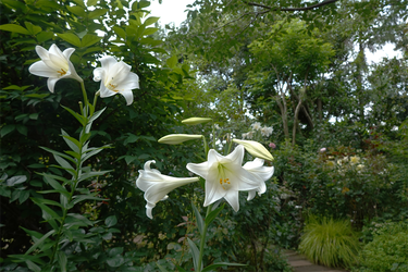 DSC08448_R
