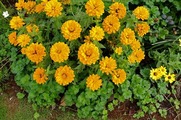 DSCF6459_R