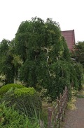DSCF4746_R
