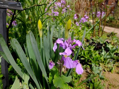 DSCF1651_R