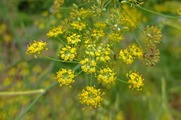 DSCF3876_R