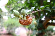 DSCF3857_R