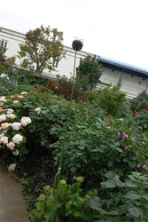 DSC08198_R