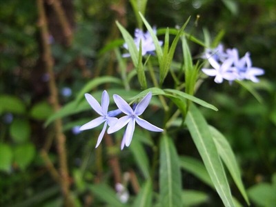 DSCF2456_R