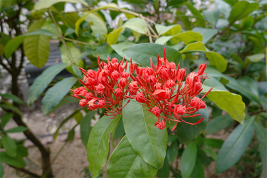 DSC00039_R