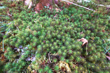 DSC09870_R