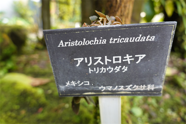 DSC03862_R