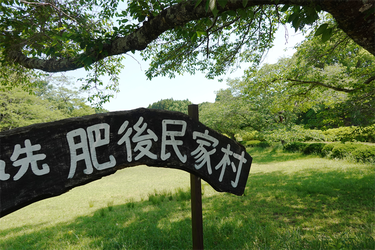 DSC07798_R