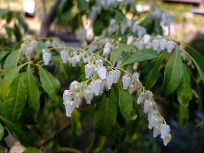 DSCF1029_R