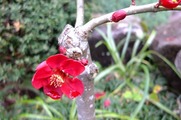 DSCF1546_R