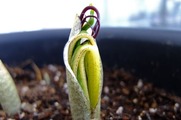 DSCF1469_R