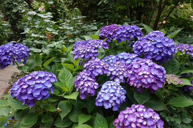 DSC08171_R
