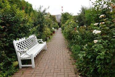 DSC07547_R